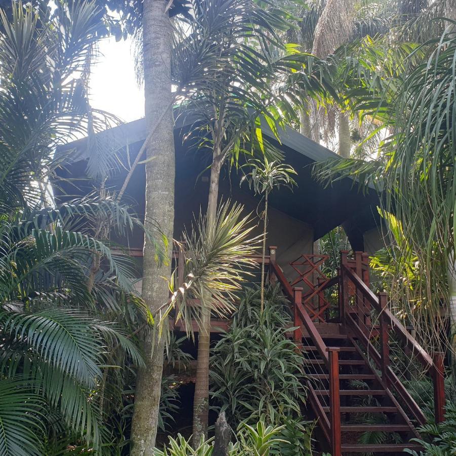 Luxury Tented Village @ Urban Glamping Saint Lucia Estuary Buitenkant foto