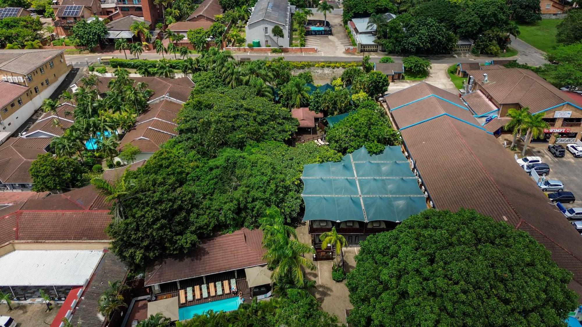 Luxury Tented Village @ Urban Glamping Saint Lucia Estuary Buitenkant foto